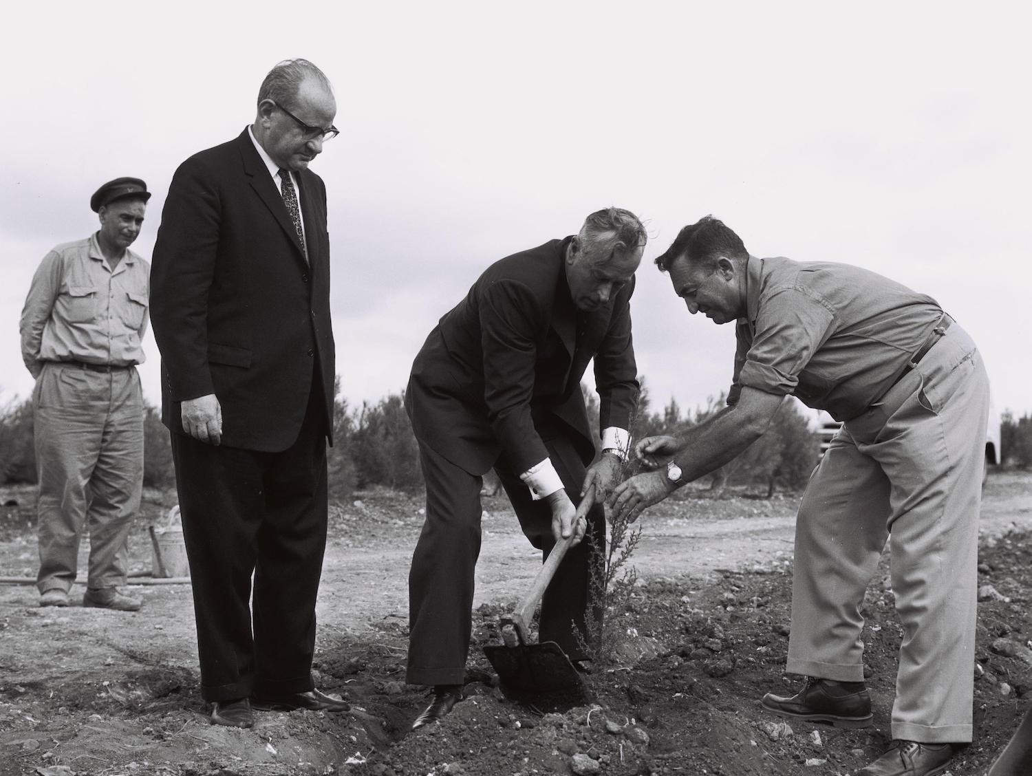 Lord Mountbatten plants a tree during a dedication ceremony of the Jewish National Fund's Edwina Mountbatten Forest, November 5, 1962. (Moshe Pridan)