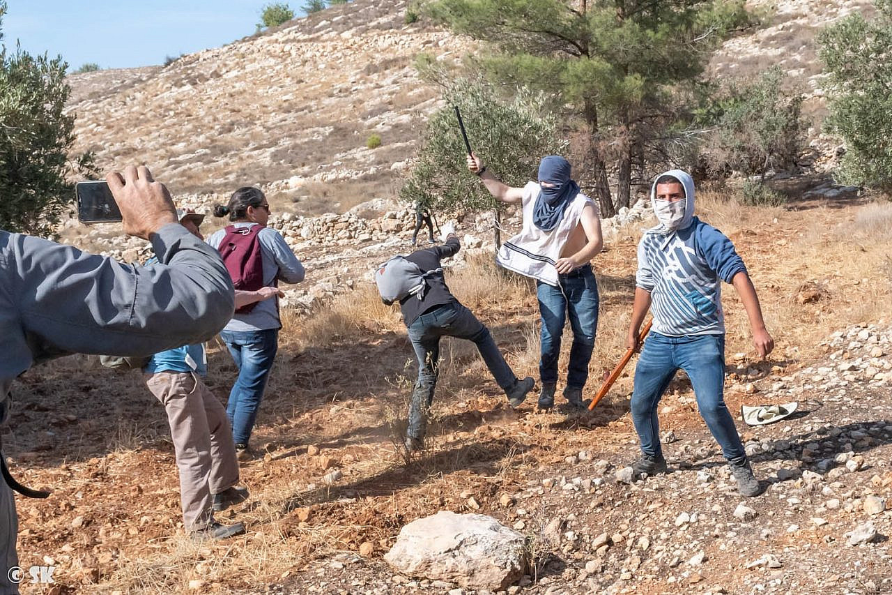Israeli settlers assaulting Palestinian residents and solidarity activists during an attack on an olive harvest in the town of Surif, South Hebron Hills, occupied West Bank, Nov. 12, 2021. (Shay Kendler)