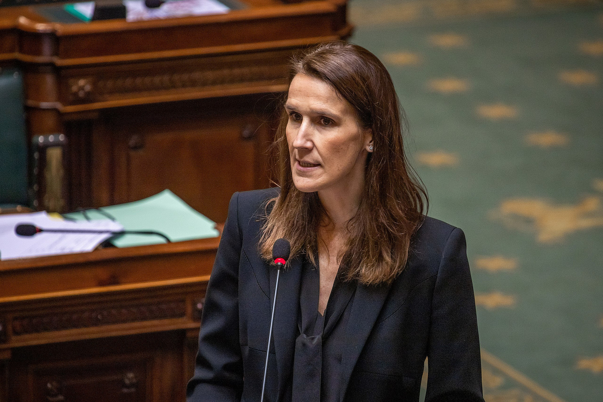 Belgian Foreign Minister Sophie Wilmès in the Chamber of Representatives, January 23, 2020. (Thomasdaems89/CC BY-SA 4.0)