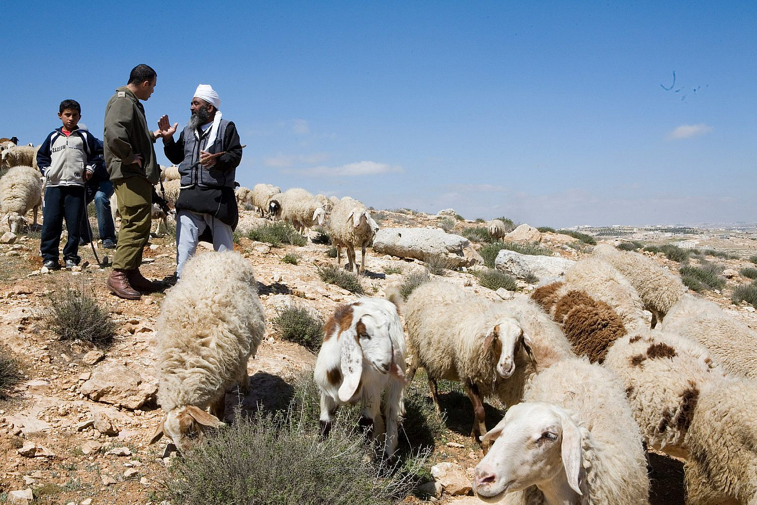A Palestinian shepherd argues with an Israeli soldier during a solidarity visit for the Bedouin community in Umm-al Khair, South Hebron Hills, March 15, 2008. (Keren Manor/Activestills)