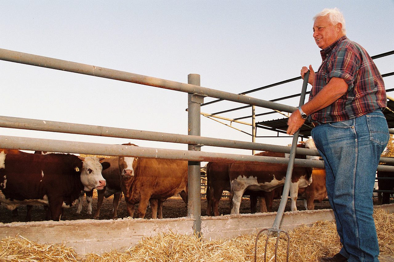 Ariel Sharon seen working on his farm, in the Negev Desert, September 27, 1993. (Gideon Markowicz/Flash90) 