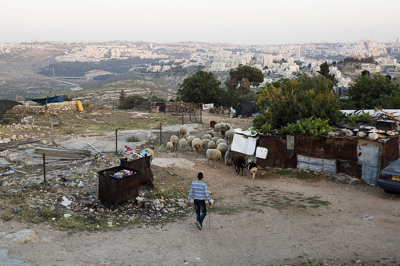 A Palestinian shepherd walks through the village of An-Nabi Samwil, occupied West Bank, overlooking nearby Jewish settlements and Palestinian neighborhoods of Jerusalem which the residents are generally prohibited from entering, April 28, 2014. (Keren Manor/Activestills)