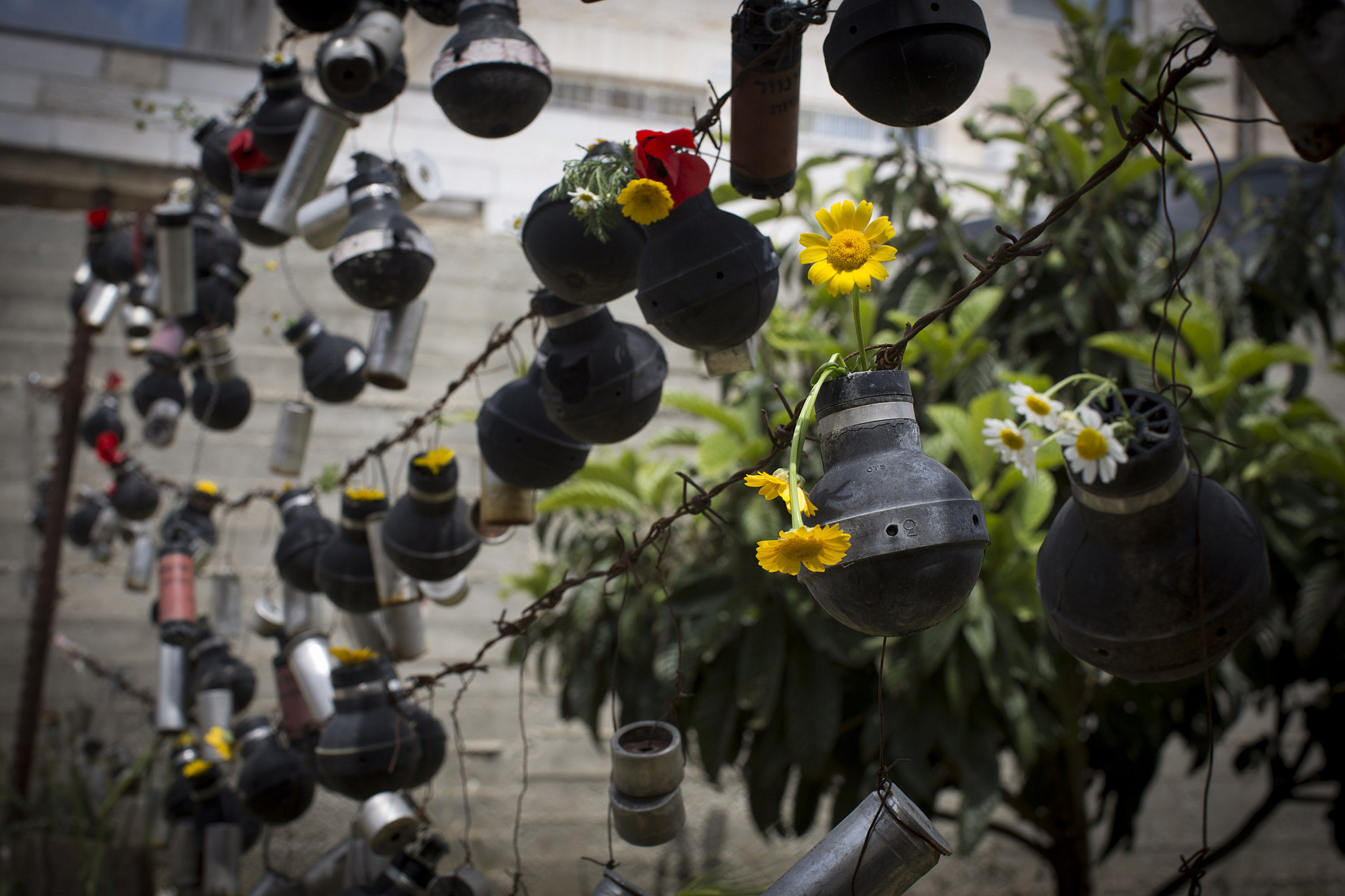 Flowers put inside used tear gas canisters are seen before the weekly protest against the occupation in the West Bank village of Nabi Saleh, April 10, 2015. (Oren Ziv/Activestills)