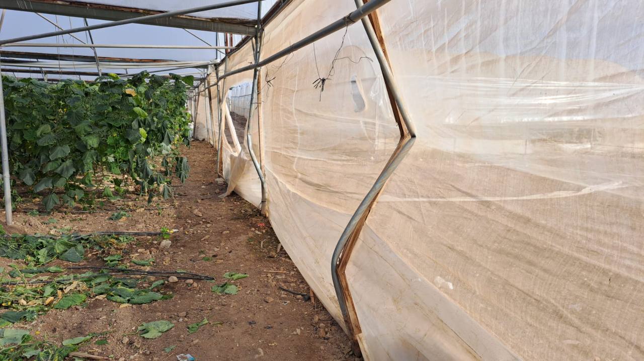The aftermath of an Israeli settler attack on Palestinian greenhouses in Al-Auja, occupied West Bank. (Yesh Din)