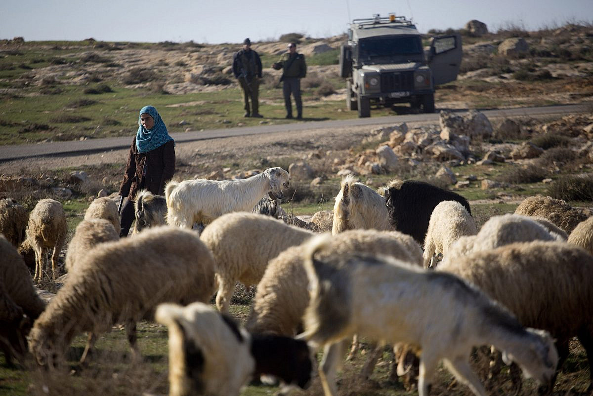 Israeli soldiers block the path of a Palestinian shepherd and her flock of sheep near the West Bank village of Al-Mufagara, South Hebron Hills, West Bank, December 21, 2012. (Oren Ziv/Activestills)