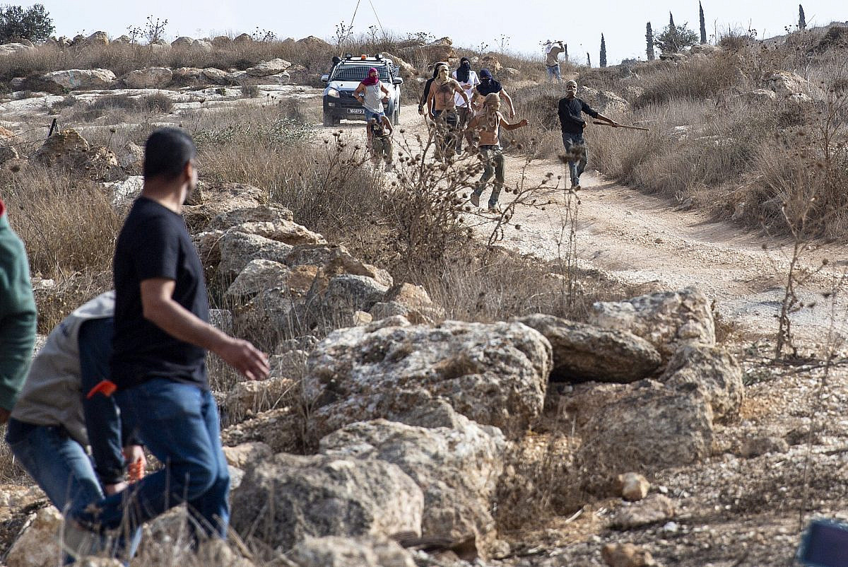 Israeli settlers attack activists from the Faz3a campaign and other groups, as well as farmers, to prevent them from picking their olive trees near an Israeli outpost of the settlement Shilo, on lands belonging to the Palestinian town of Turmus Ayya, West Bank, October 25, 2022. (Anne Paq/Activestills)