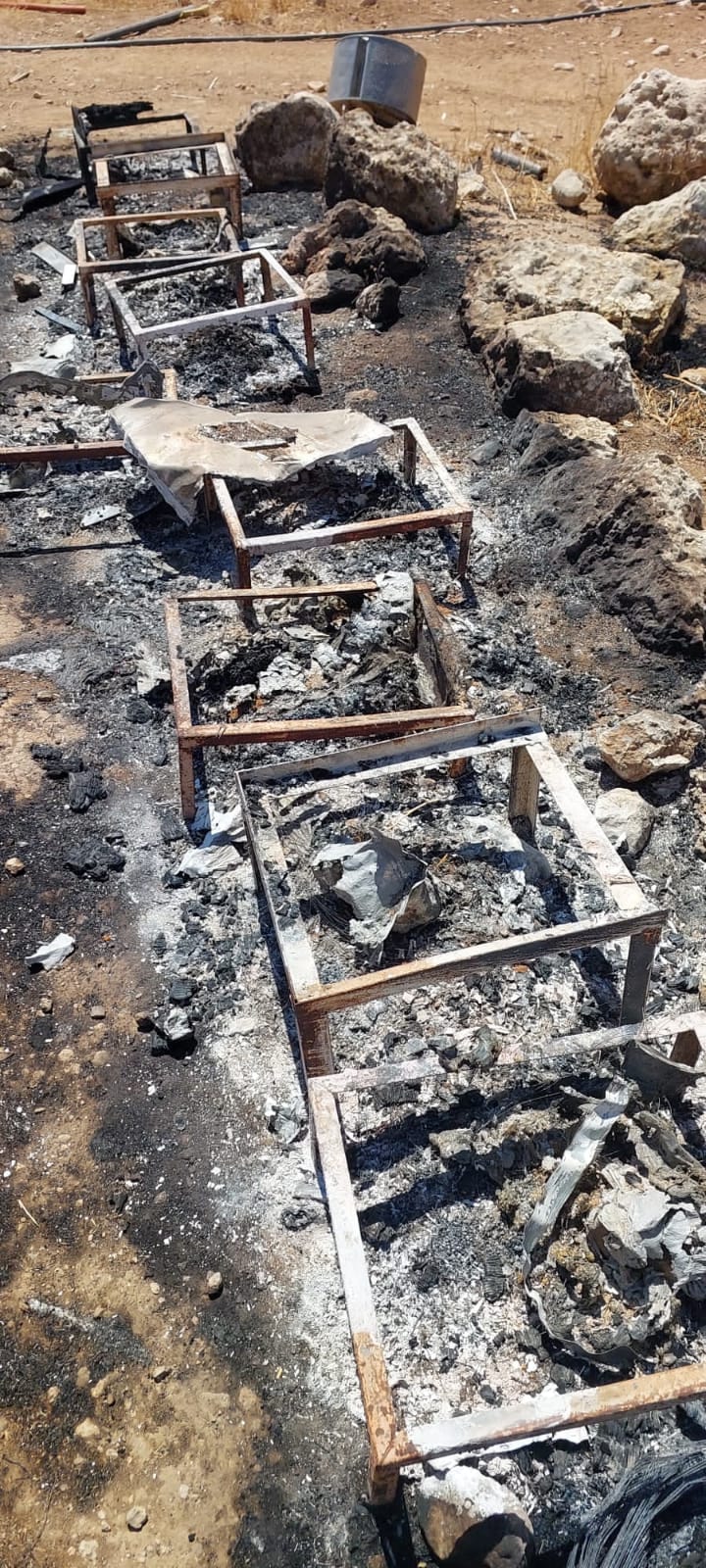 Ashes of beehives belonging to Youssef Al-Sarha, burned by an Israeli settler in Khirbet Widadi near Hebron, July 2023. (Imad Abu Hawash)