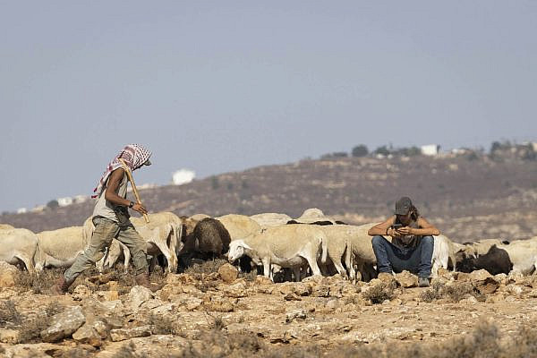 Israeli settlers with grazing sheep near the Palestinian village of Ein al-Rashash. (Oren Ziv)