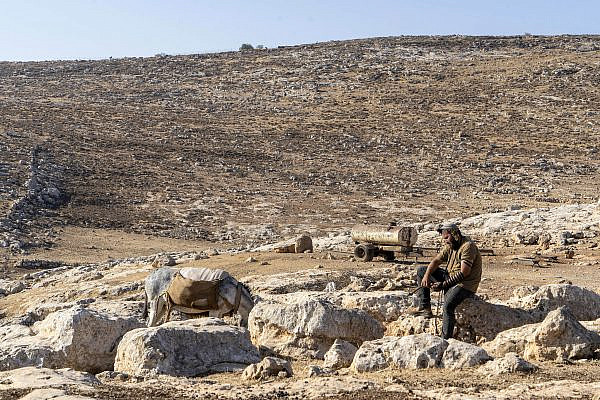 Israeli settlers seen invading the Bedouin Palestinian community of Ein al-Rashash with their herd and harassing its residents, West Bank, August 22, 2023. (Omri Eran Vardi/Activestills)