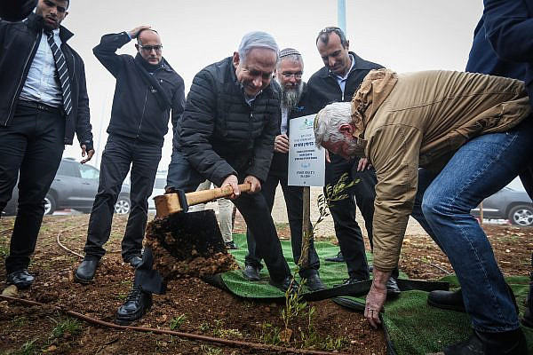 Prime Minister Benjamin Netanyahu plants an olive tree in Netiv Ha'avot, Gush Etzion, occupied West Bank, January 28, 2019. (Marc Israel Sellem/POOL)