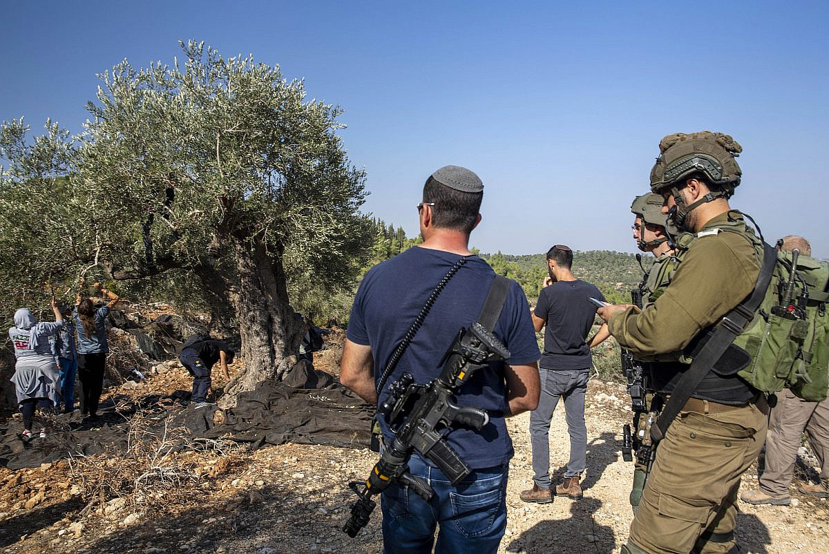 Armed Israeli settlers harass Palestinian farmers and activists during the olive harvest in the village of Jibya, occupied West Bank, October 28, 2022. (Anne Paq/Activestills)