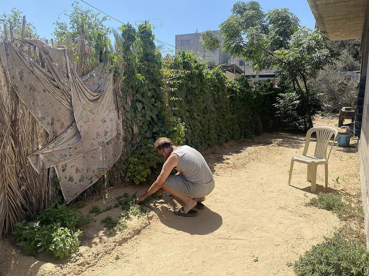Waseem in his garden before the war. (Courtesy) Waseem in his garden before the war. (Courtesy)