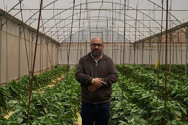 Hacham Salim in his greenhouse in the village of Jayyous, West Bank, April 7, 2026 (Timna Rose Peretz)